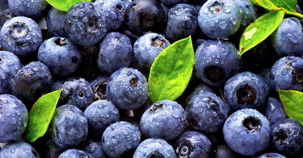 Blueberry